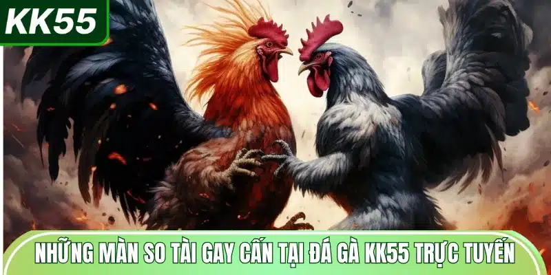 nhung-man-so-tai-gay-can-tai-da-ga-kk55-truc-tuyen